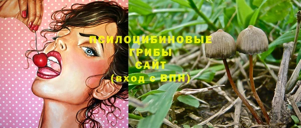 стафф Михайлов
