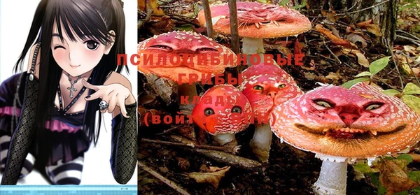 мяу мяу мука Михайловск